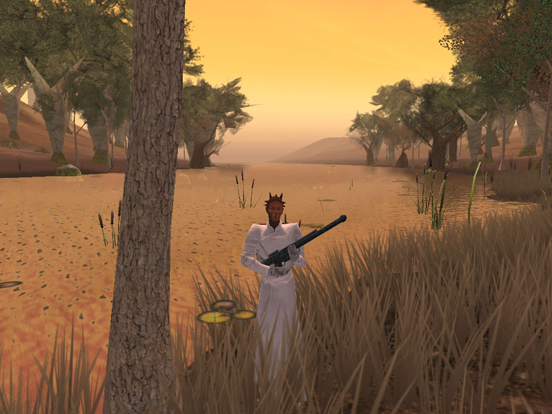 screenShot0040