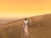 screenShot0038